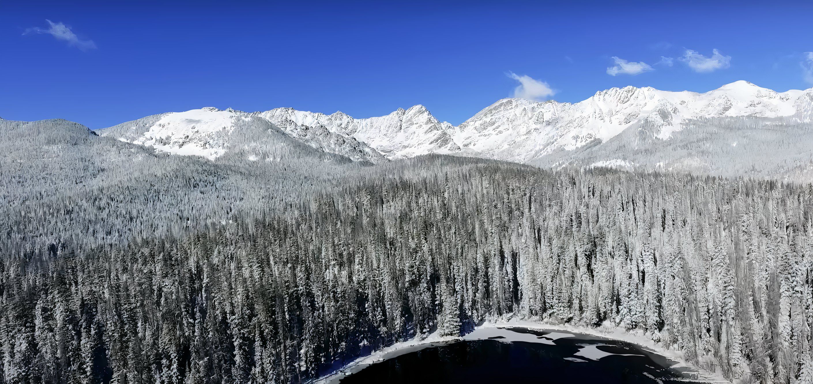 صحنه ای از طبیعت در لیست پخش 11 Hours of Winter Wonderland.