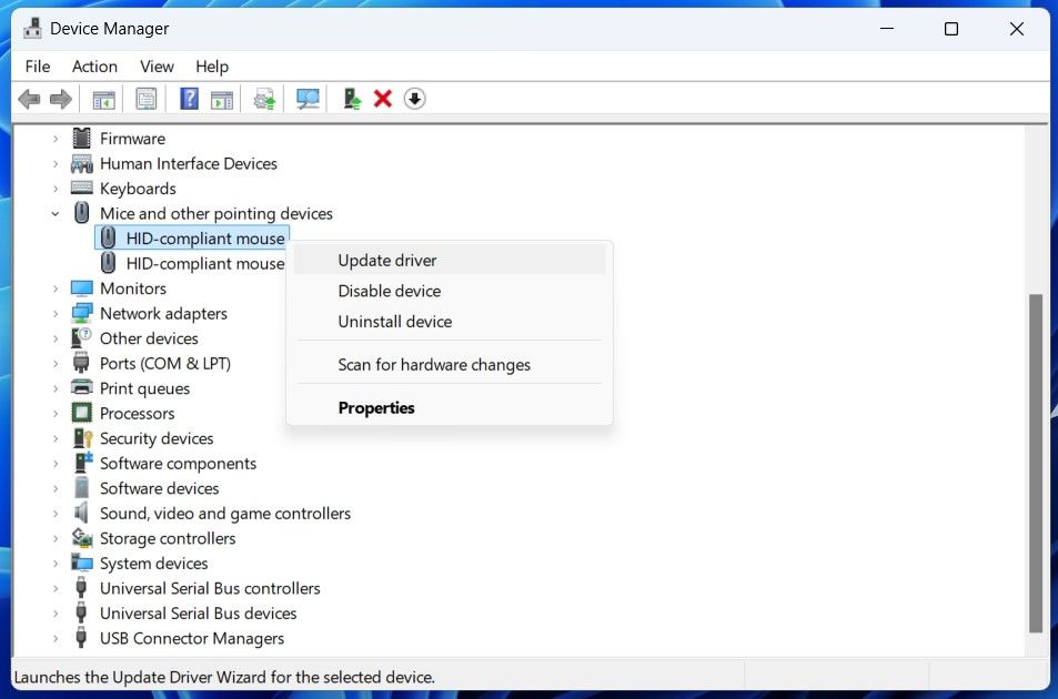 گزینه درایور ماوس را در پنجره مدیریت دستگاه به روز کنید